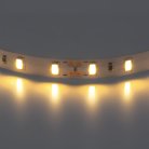 Светодиодная лента Lightstar 400072