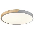 Потолочный светильник Velante 445-267-01