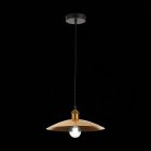Подвесной светильник ST Luce SL1017.203.01 ROMO