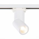 Трековый светильник ST Luce ST650.536.10