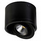 Поворотный светильник Favourite 1779-1C Reflector