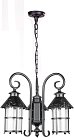 Уличный светильник подвесной Oasis Light 81570/3/18 Bl CAIOR 1