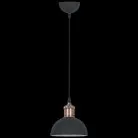 Подвесной светильник Reluce 08199-0.9-01S BK