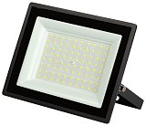 Прожектор уличный ЭРА LPR-023-0-65K-070