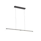 Подвесной светильник ST Luce SL1580.403.01 Ralio
