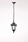 Уличный светильник подвесной Oasis Light 95205S Bl