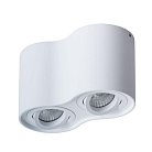 Светильник Потолочный Arte Lamp A5645PL-2WH FALCON