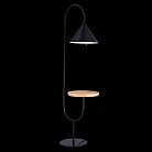 Торшер ST Luce SL1802.405.01 AMIRO
