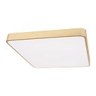 Потолочный светильник Loft IT 10228/D Flims