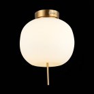 Светильник потолочный ST Luce SL1621.202.01 LACUS