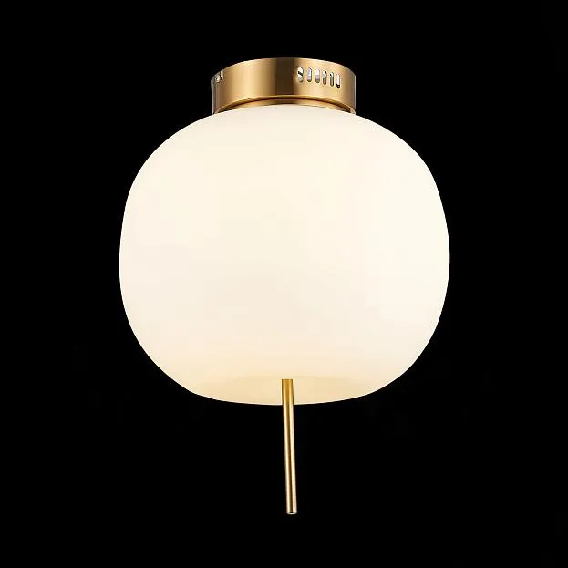 Светильник потолочный ST Luce SL1621.202.01 LACUS