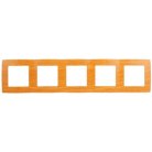 Рамка ЭРА 12-5005-07