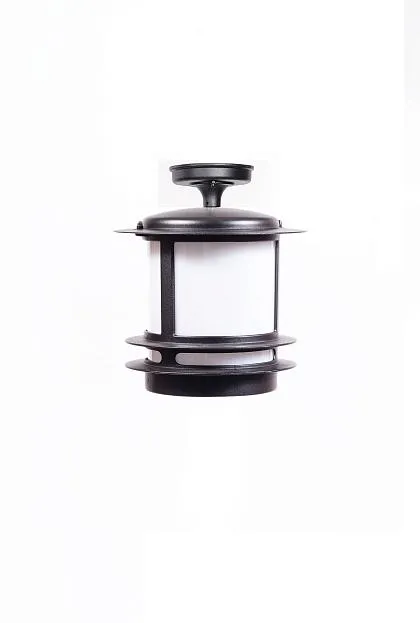 Потолочный светильник уличный Oasis Light 68305A Bl opal TOKIO