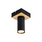 Потолочный светильник F-Promo 4431-1C OLSON