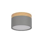 Накладной светильник Loft IT 10162 Grey Grape