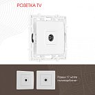 Розетка TV Arte Milano 217.43-1.white am