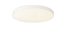 Потолочный светильник Simple Story 1204-LED48CL 1204