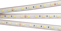 Светодиодная лента Arlight 021464(2) B60 PS