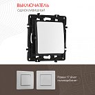 Выключатель одноклавишный, 10AX 250V Arte Milano 217.30-1.silver am