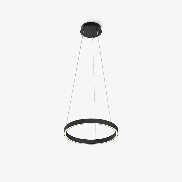 Подвесной светильник Maytoni MOD058PL-L22BK Rim