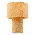 Настольная лампа Lussole LSP-0821 GARZA