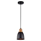 Подвесной светильник Arte Lamp A4248SP-1BK EURICA
