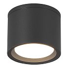 Уличные потолочные светильники ST Luce SL9006.702.01 TUBO