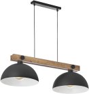 Подвесной светильник TopLight TL1625H-02BK Marion