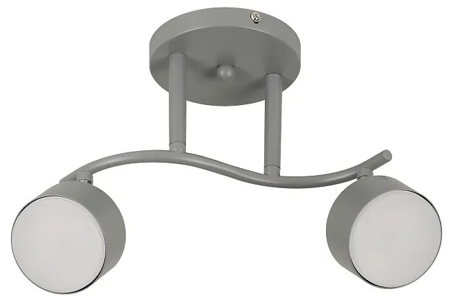Светильник настенно-потолочный спот Rivoli 7077-702 Vivien