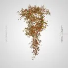 Люстра ELLING LUX Размер L. Цвет Янтарь Lampatron 7259-19964