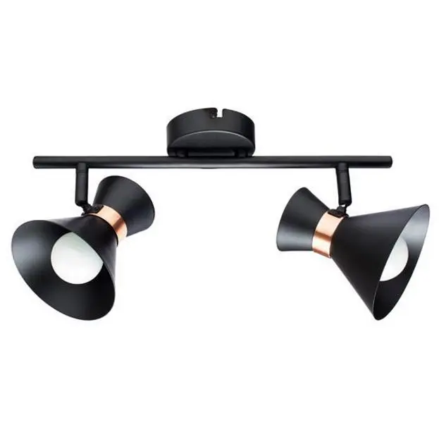 Спот Arte Lamp A1406AP-2BK BALTIMORE Спот Arte Lamp A1406AP-2BK BALTIMORE