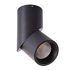 Светильник Потолочный Arte Lamp A7717PL-1BK ORIONE