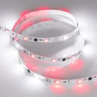 Светодиодная лента Arlight 026368(2) SPI B30