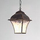 Уличный подвесной светильник Elektrostandard GL 1009H a043115 Apus