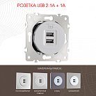 Розетка USB Arte Milano 202.46-1.silver am