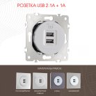 Розетка USB Arte Milano 202.46-1.silver am