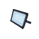 Прожектор уличный Uniel ULF-F21-50W/6500K IP65 200-250В BLACK