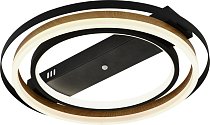 Потолочная люстра Escada 10247/2LED Lagom