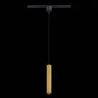 Трековый светильник ST Luce ST151.306.01