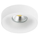 Встраиваемый Светильник Lightstar L01002020 LEVIGO