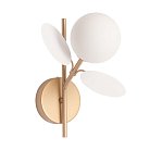 Бра Arte Lamp A1369AP-1SG PEACOCK