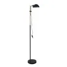 Торшер Arte Lamp A7055PN-1BK ZETTA