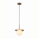 Подвесной светильник F-Promo 3050-1P Roshni