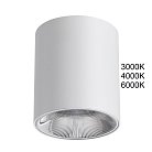 Потолочный светильник Odeon light 7139/12CL BRIM