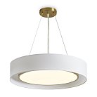 Подвесной светильник Freya FR6170PL-L52BS Cozy