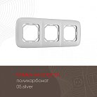 Рамка из поликарбоната на 3 поста Arte Milano 505.05-3.silver am
