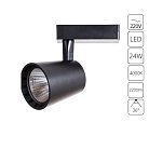 Светильник Потолочный Arte Lamp A2324PL-1BK ATILLO