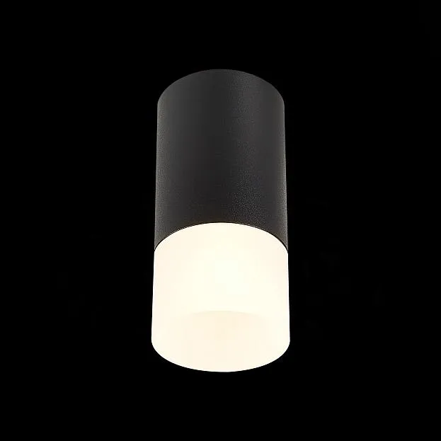Светильник потолочный ST LUCE ST100.412.01 ST100