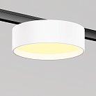Трековый светильник Maytoni Technical TR189-1-12W2.7K-BW Zon