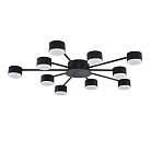 Потолочная люстра Lumion 8344/10C TORINA